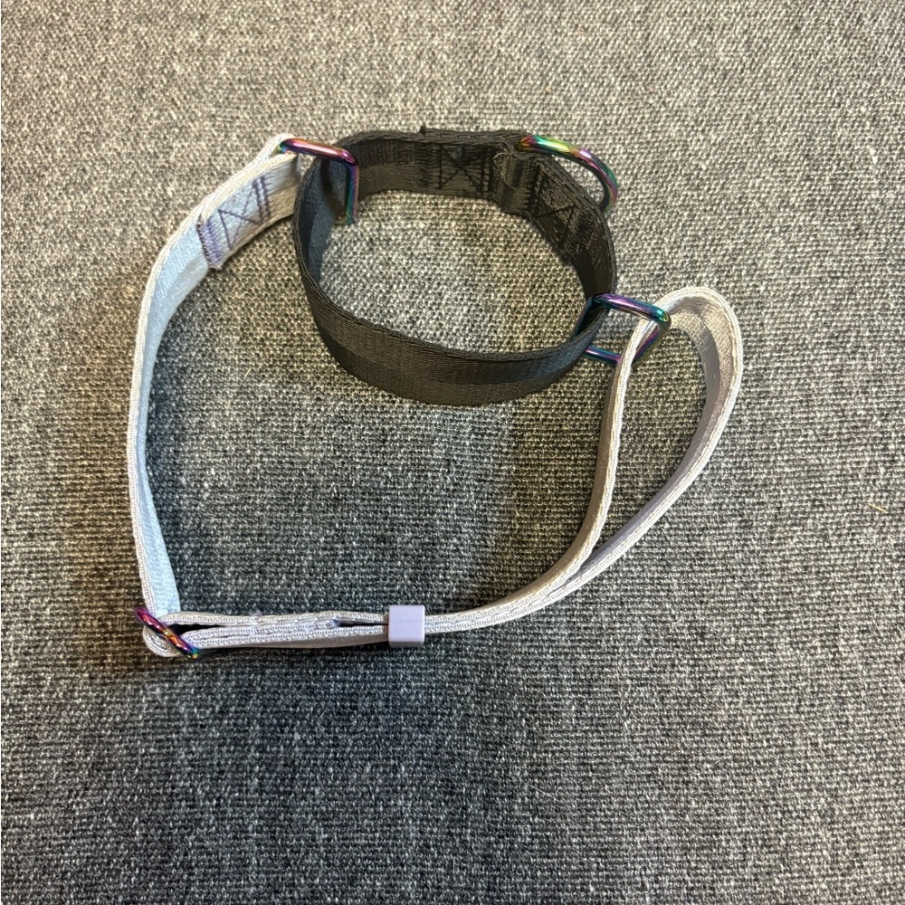 Top Paw Martingale Dog Collar